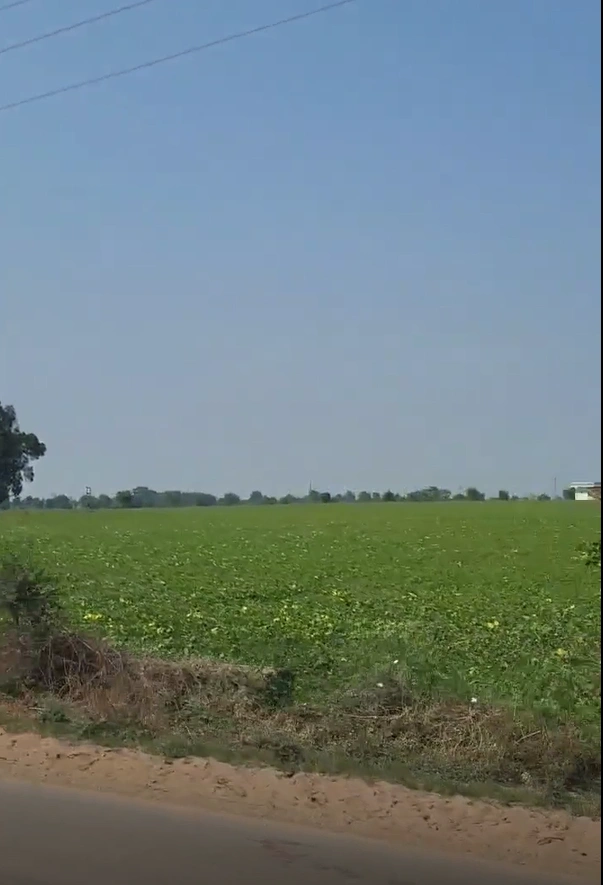 J78Q+84H, Sehore, Neelkanth, Madhya Pradesh 466331, India