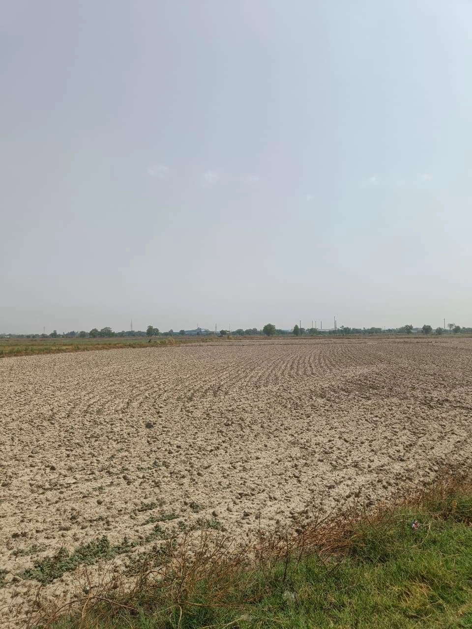 Aou, Rajasthan, India