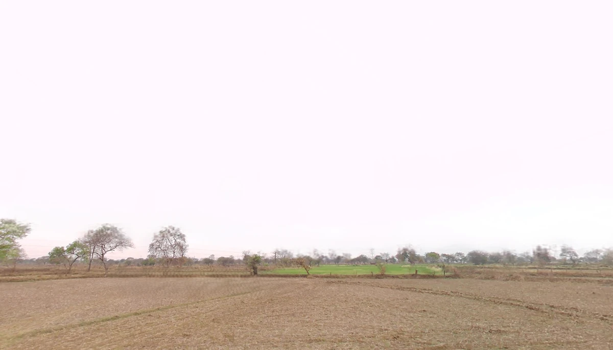 Suhela, Chhattisgarh 493195, India