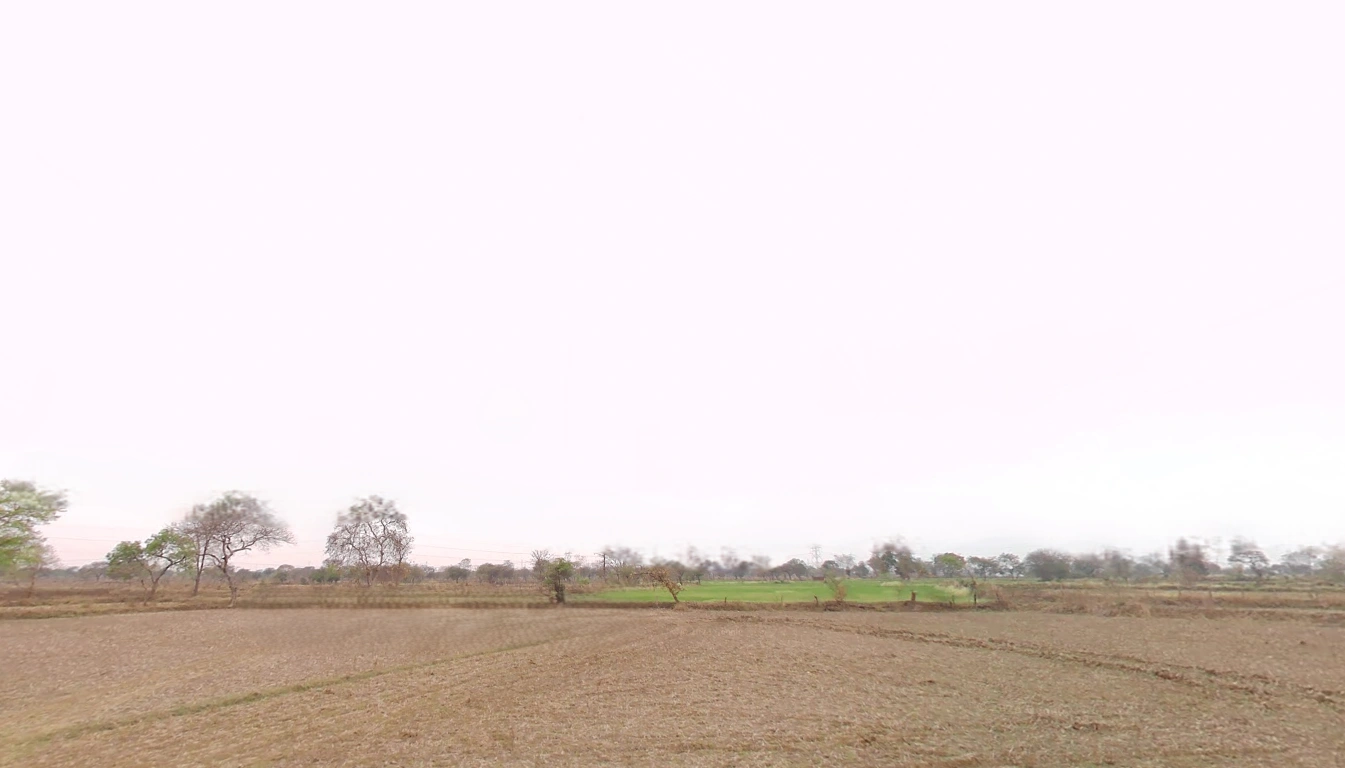 Suhela, Chhattisgarh 493195, India