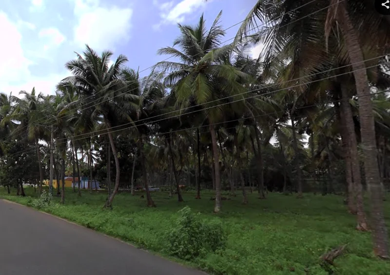 203, Palakkad - Koduvayur - Meenakshipuram Hwy, Meenakshipuram, Tamil Nadu 642103, India preview 2