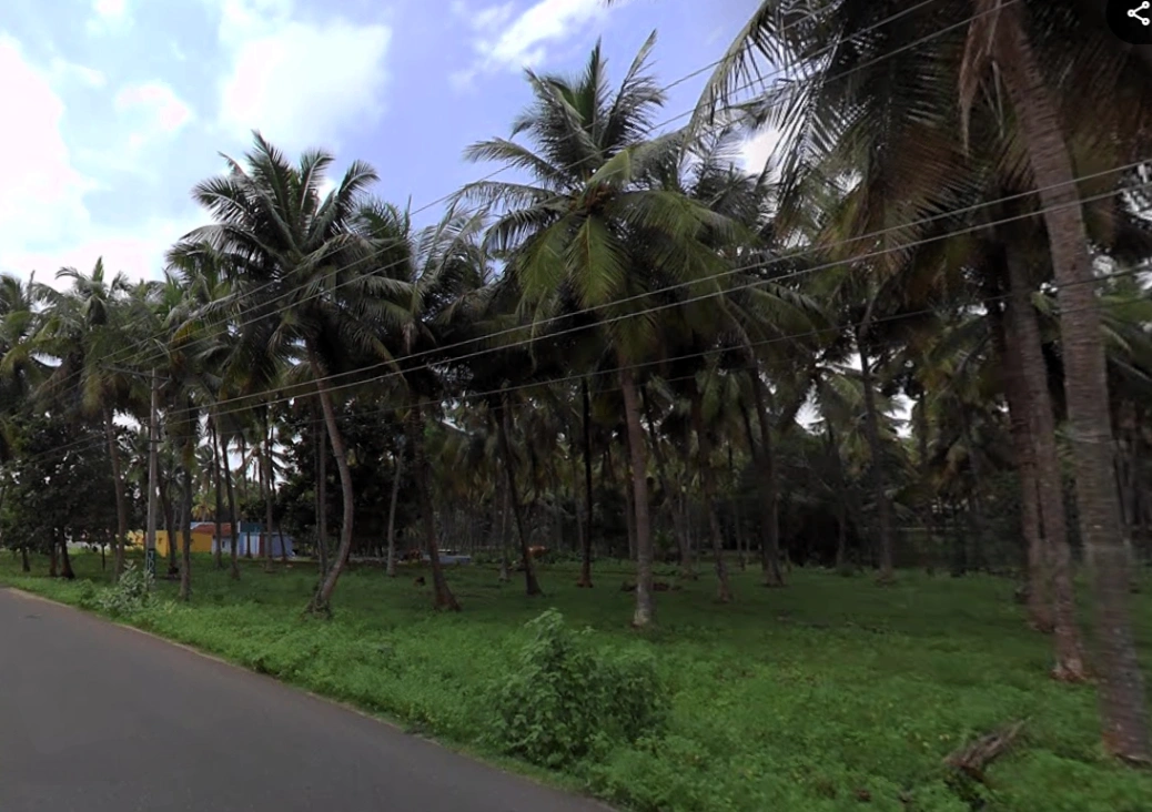 203, Palakkad - Koduvayur - Meenakshipuram Hwy, Meenakshipuram, Tamil Nadu 642103, India