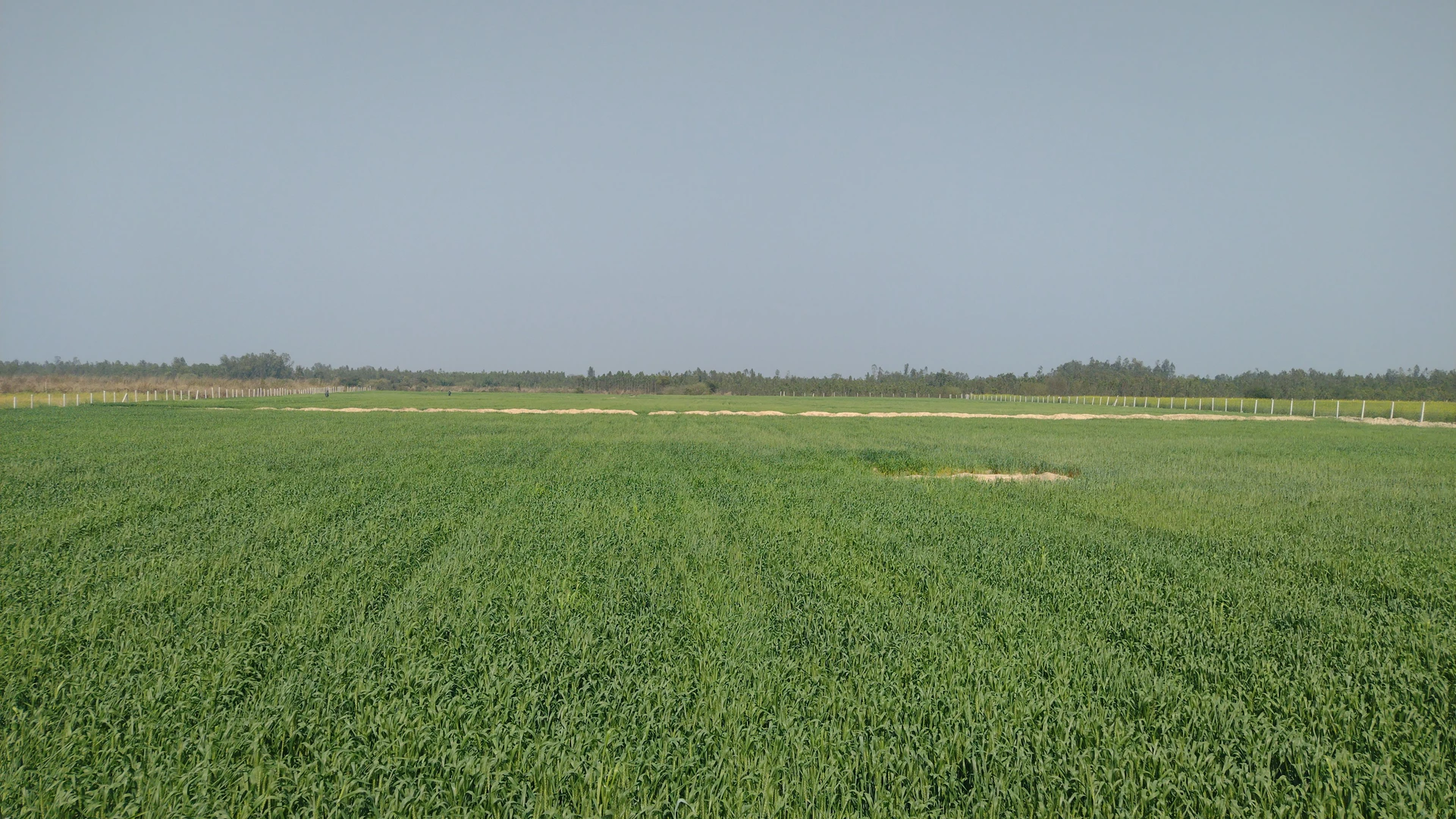 Sandila, Uttar Pradesh, India