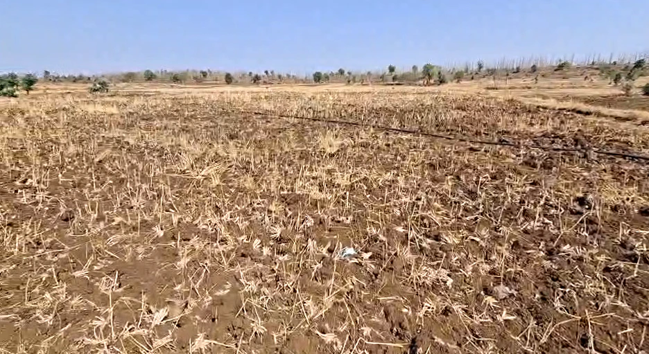 Dabra, Madhya Pradesh 475110, India