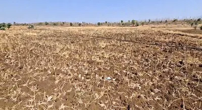 Dabra, Madhya Pradesh 475110, India preview 2