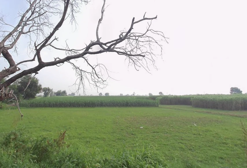 Baraut, Uttar Pradesh 250611, India