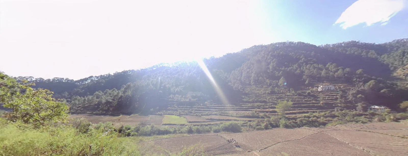 JJMG+GQM, Kosi, सुनोली माल्ली, उत्तराखंड 263643, India