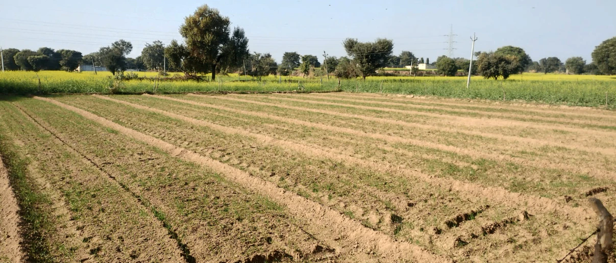 Lakhanpur, Odisha 768219, India