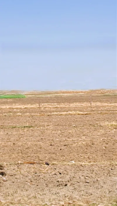 Nissing, Haryana 132024, India preview 3