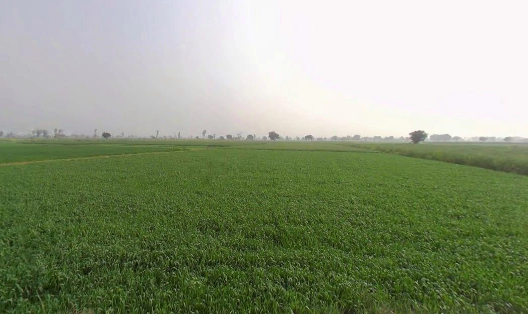 Kherli - Kathumar - Nagar Rd, Kherli, Rajasthan, India