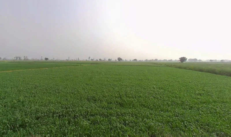 Kherli - Kathumar - Nagar Rd, Kherli, Rajasthan, India preview 3