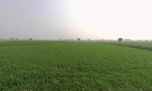 Kherli - Kathumar - Nagar Rd, Kherli, Rajasthan, India preview 3