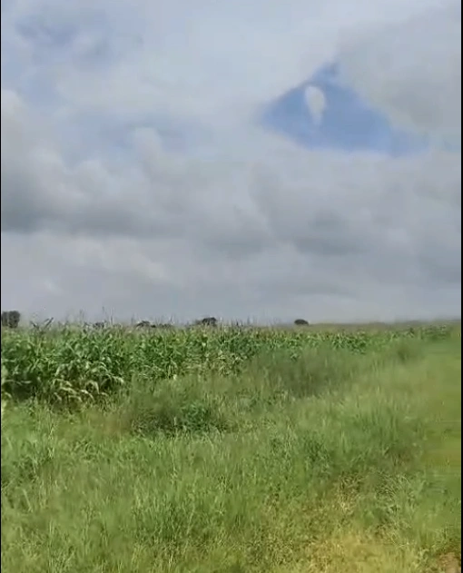 Kanchanpur, Vidisha, Madhya Pradesh 464228, India