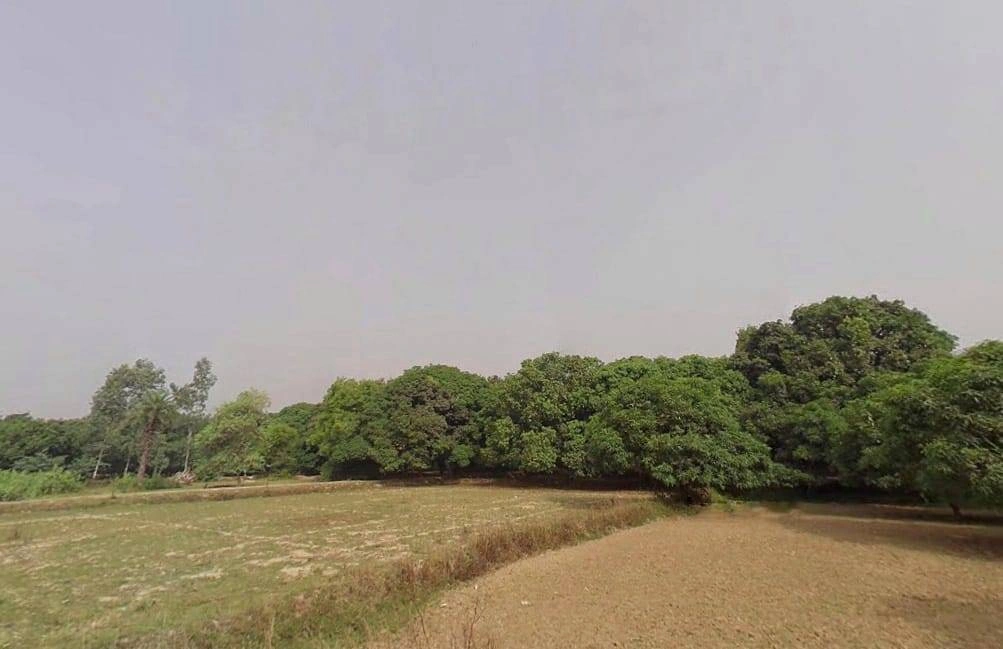 Malihabad, Uttar Pradesh 226102, India