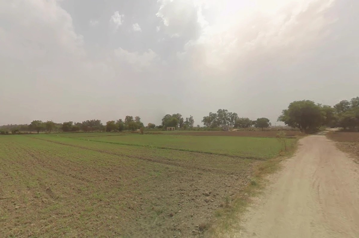 Gochhi, Haryana 124107, India