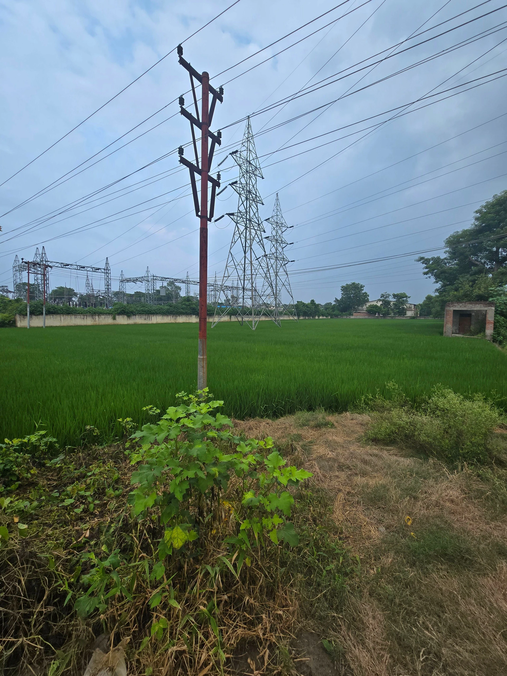 Rani Nagal, Udham Singh Nagar, Uttarakhand 262401, India