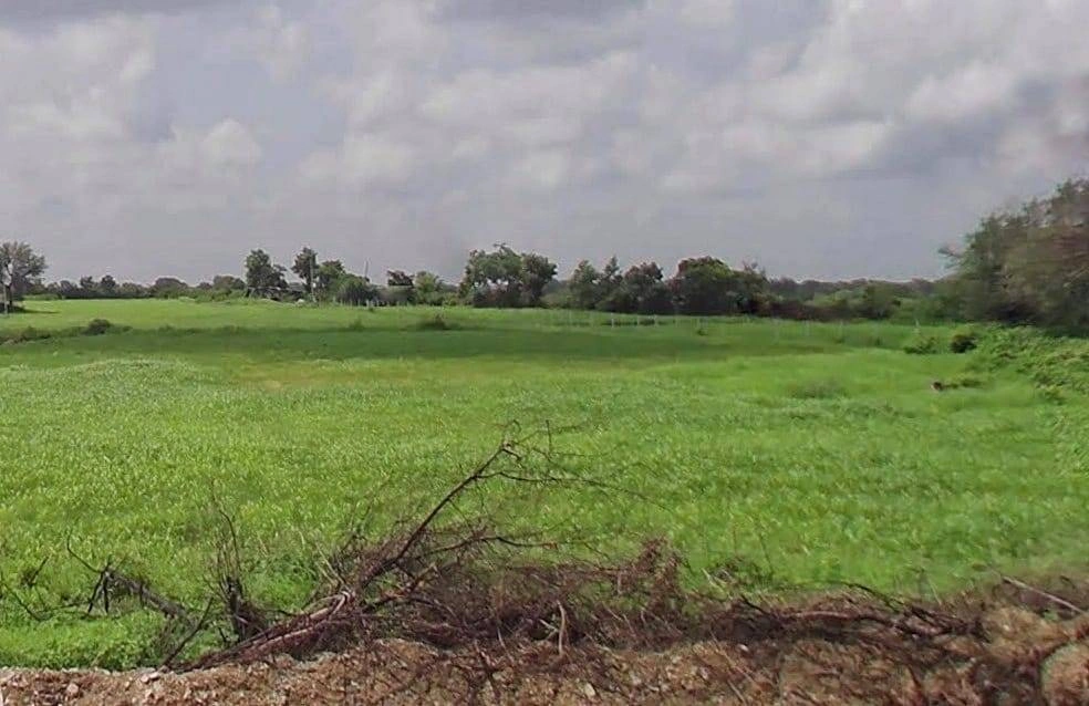 MXHC+XH Rana Kui, Rajasthan, India