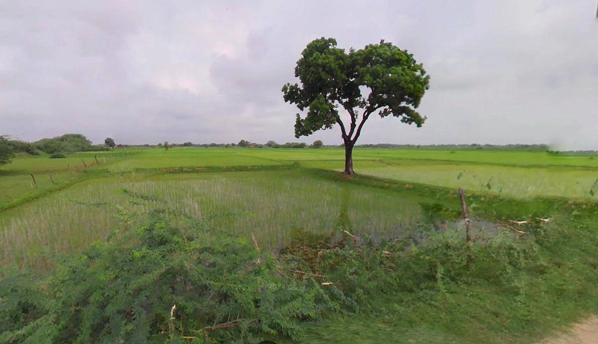 Gauripur, Assam 783331, India