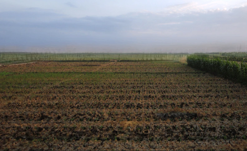 Saltora, West Bengal 722158, India
