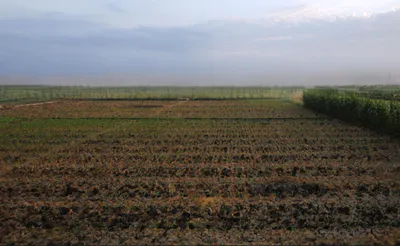 Saltora, West Bengal 722158, India preview 3