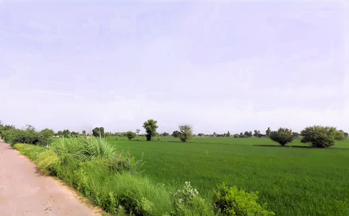 Kohla, Haryana 131302, India