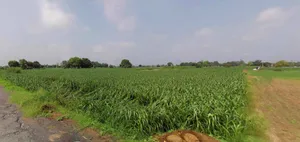Rohtak, Haryana, India preview 2