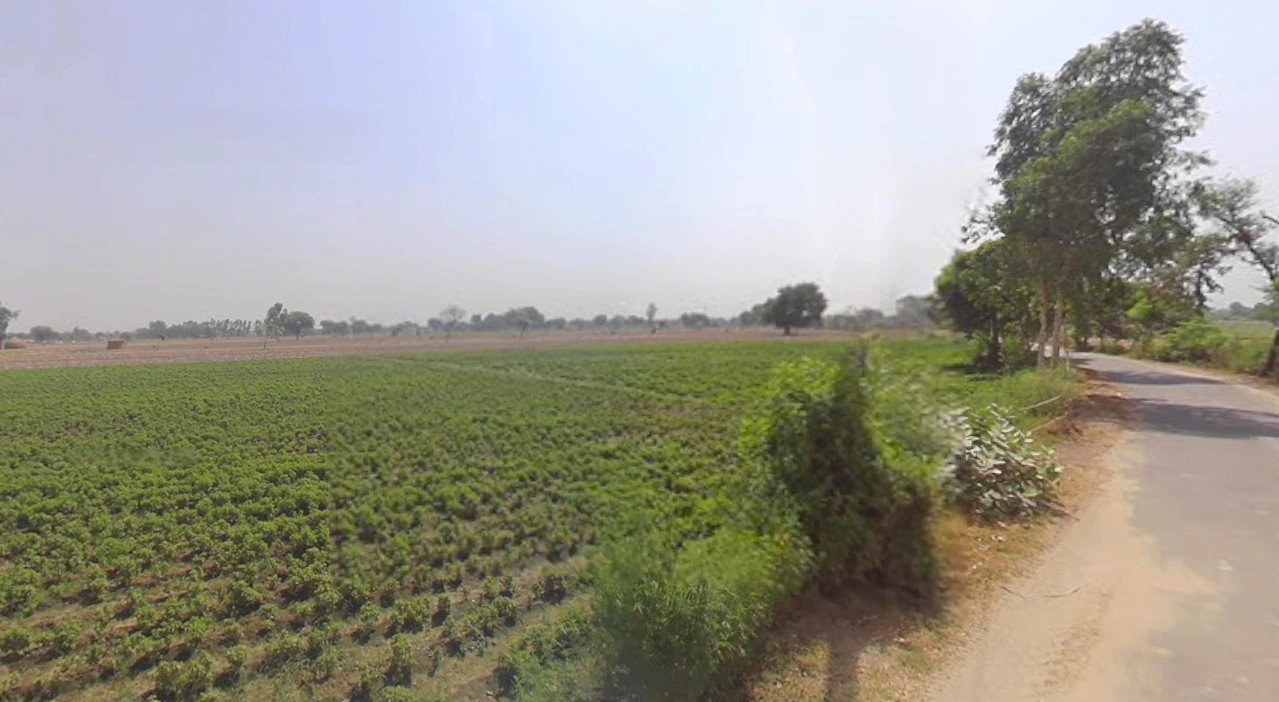 Kankaha, Uttar Pradesh 226301, India