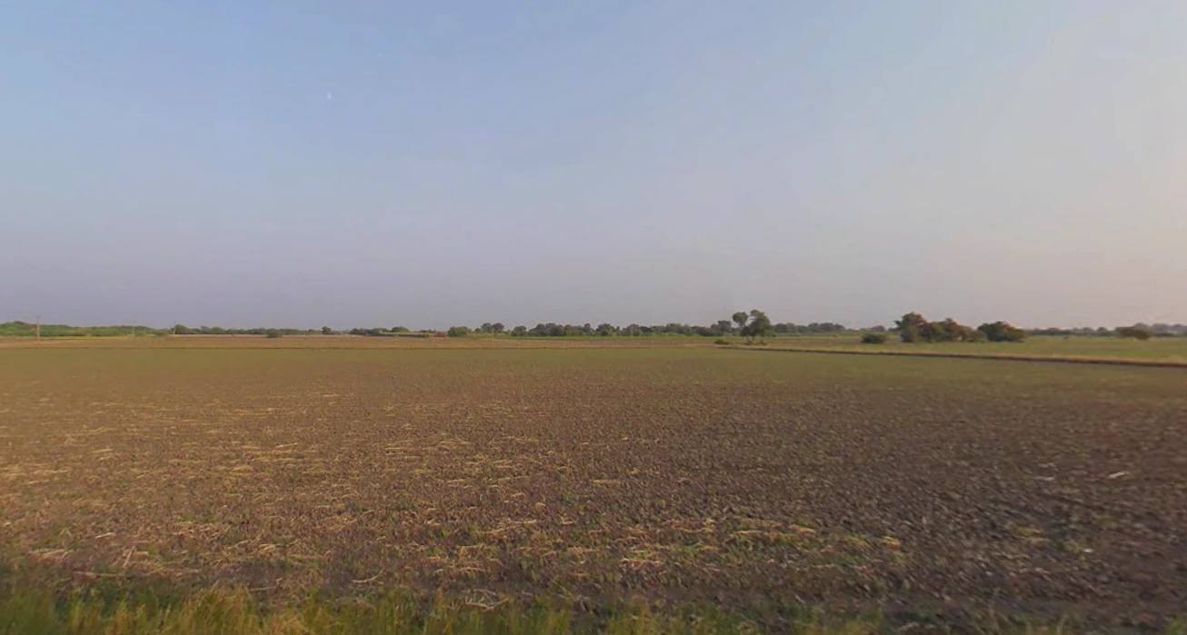 Vanaliya, Gujarat, India