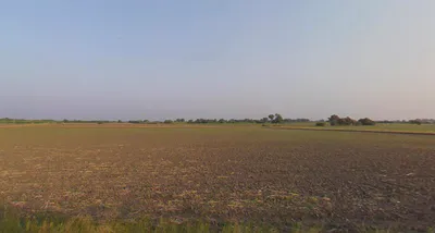 Vanaliya, Gujarat, India preview 3