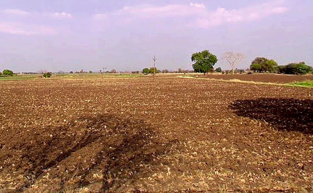 Mangaliya, Madhya Pradesh 465226, India