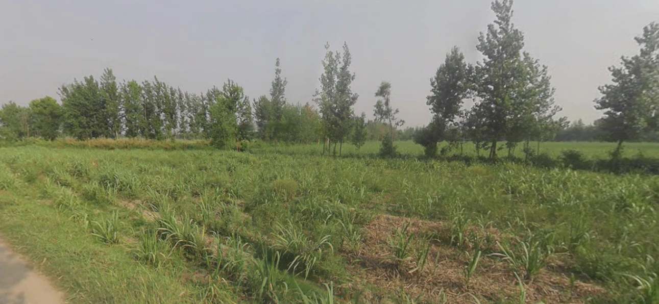Chandpur, Uttar Pradesh 246725, India