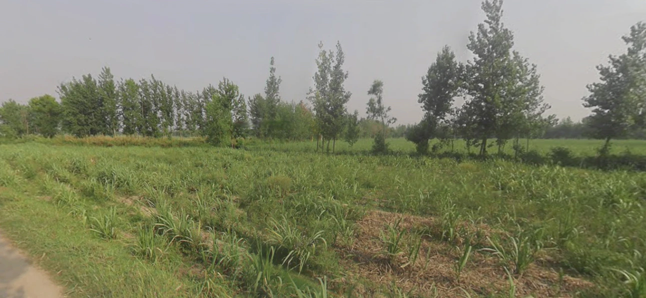 Chandpur, Uttar Pradesh 246725, India