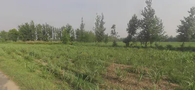 Chandpur, Uttar Pradesh 246725, India preview 2