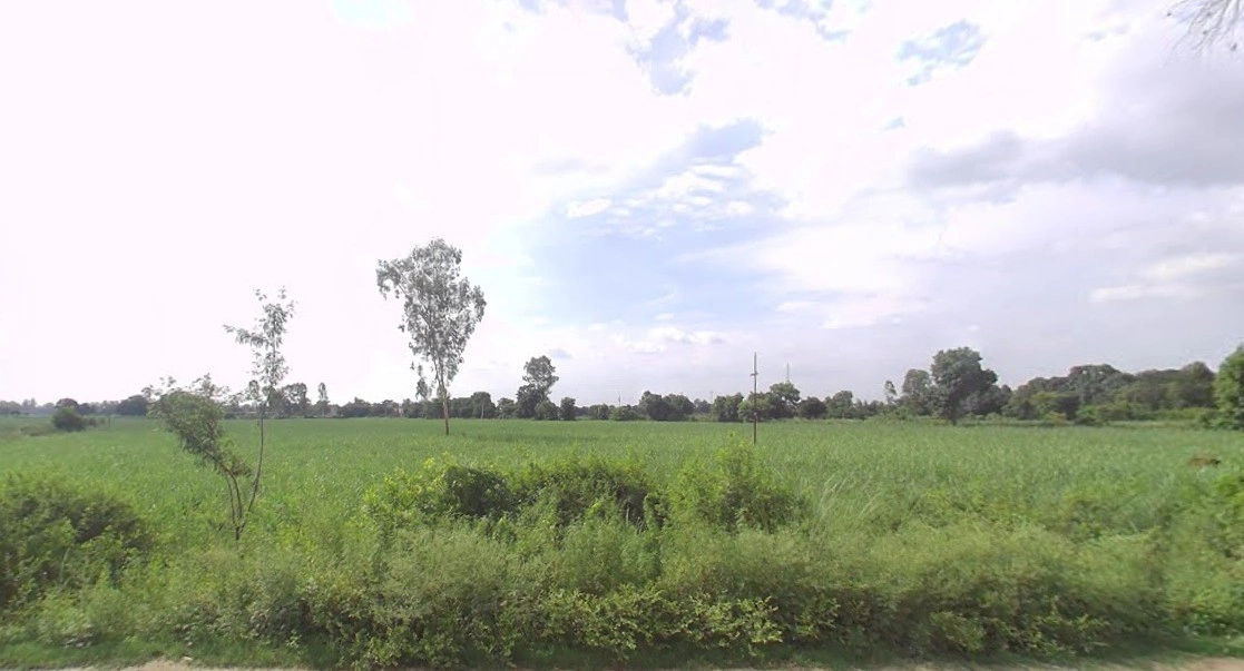 Lakhimpur, Uttar Pradesh 262701, India