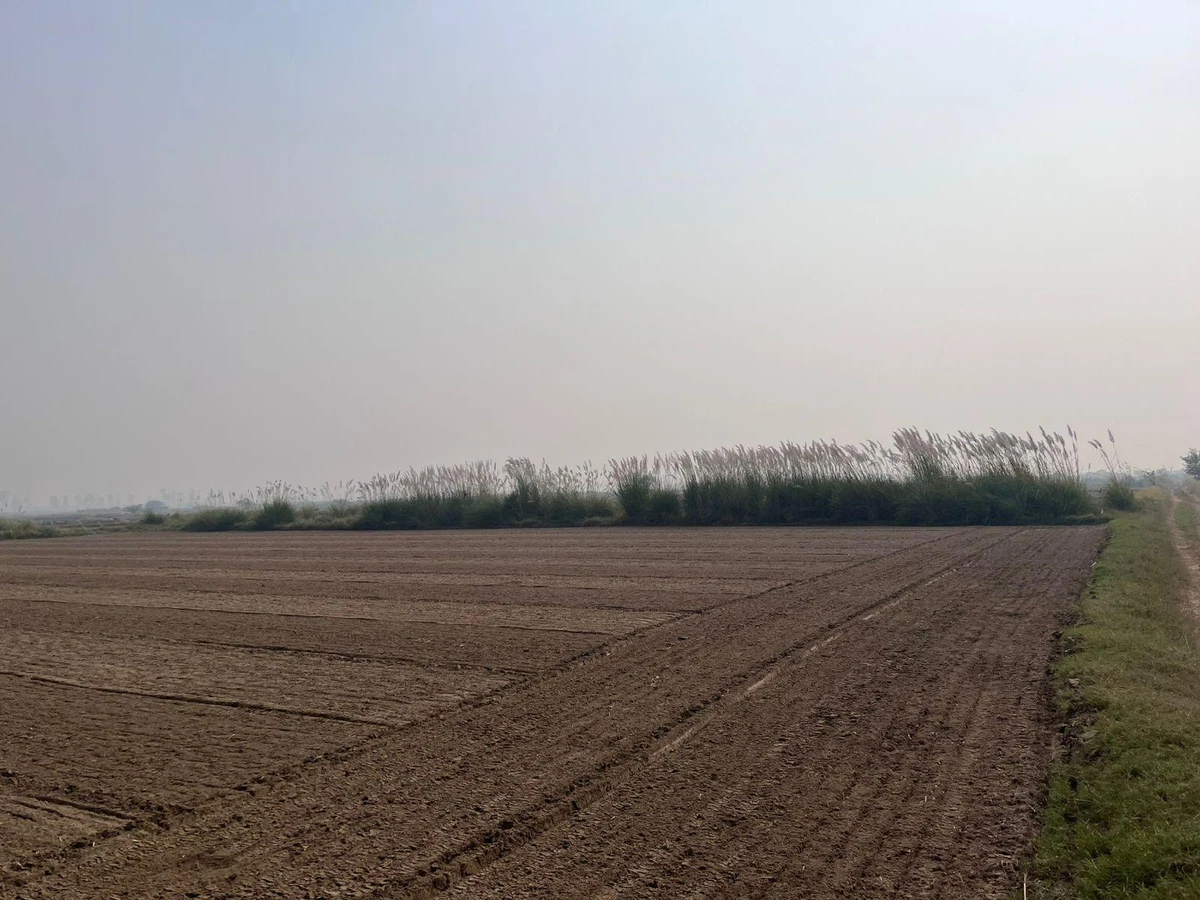 Pondri, Haryana, India