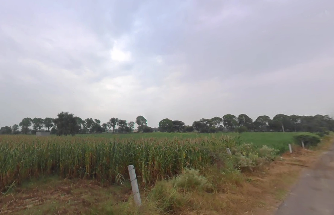 Siwani, Haryana 127046, India