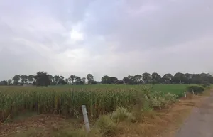 Siwani, Haryana 127046, India preview 2