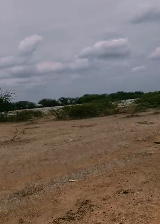 JHGX+GQ Aliabad, Medchal–Malkajgiri, Telangana, India