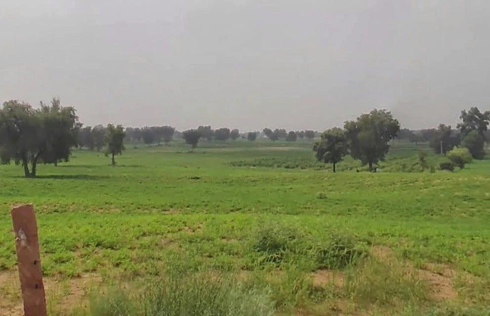 WVM8+576, Arjansar, Rajasthan 334604, India