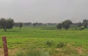 WVM8+576, Arjansar, Rajasthan 334604, India preview 2