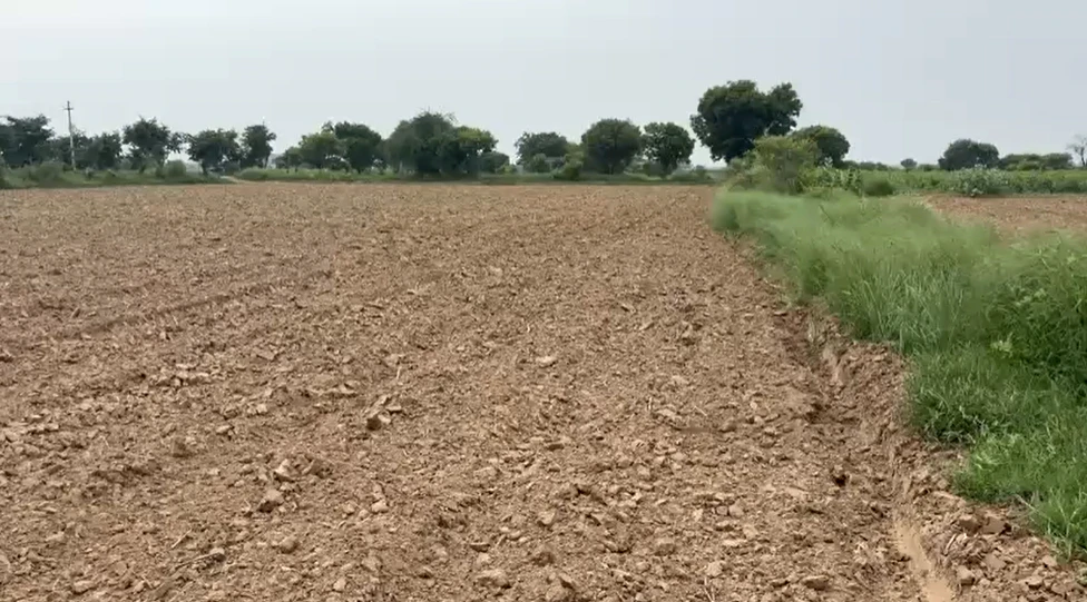Zahidpur, Jhajjar, Haryana 124103, India
