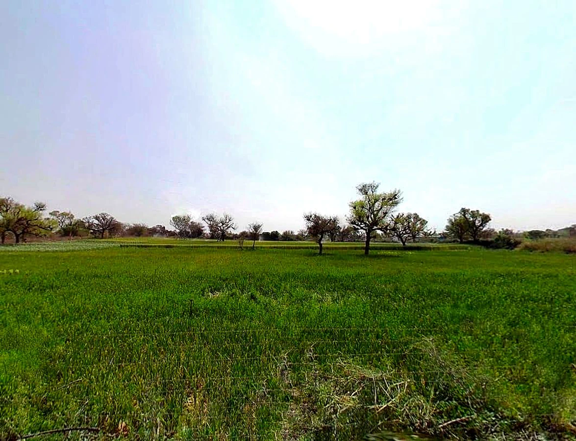 4JW8+4JW, Sardhana, Uttar Pradesh 250342, India