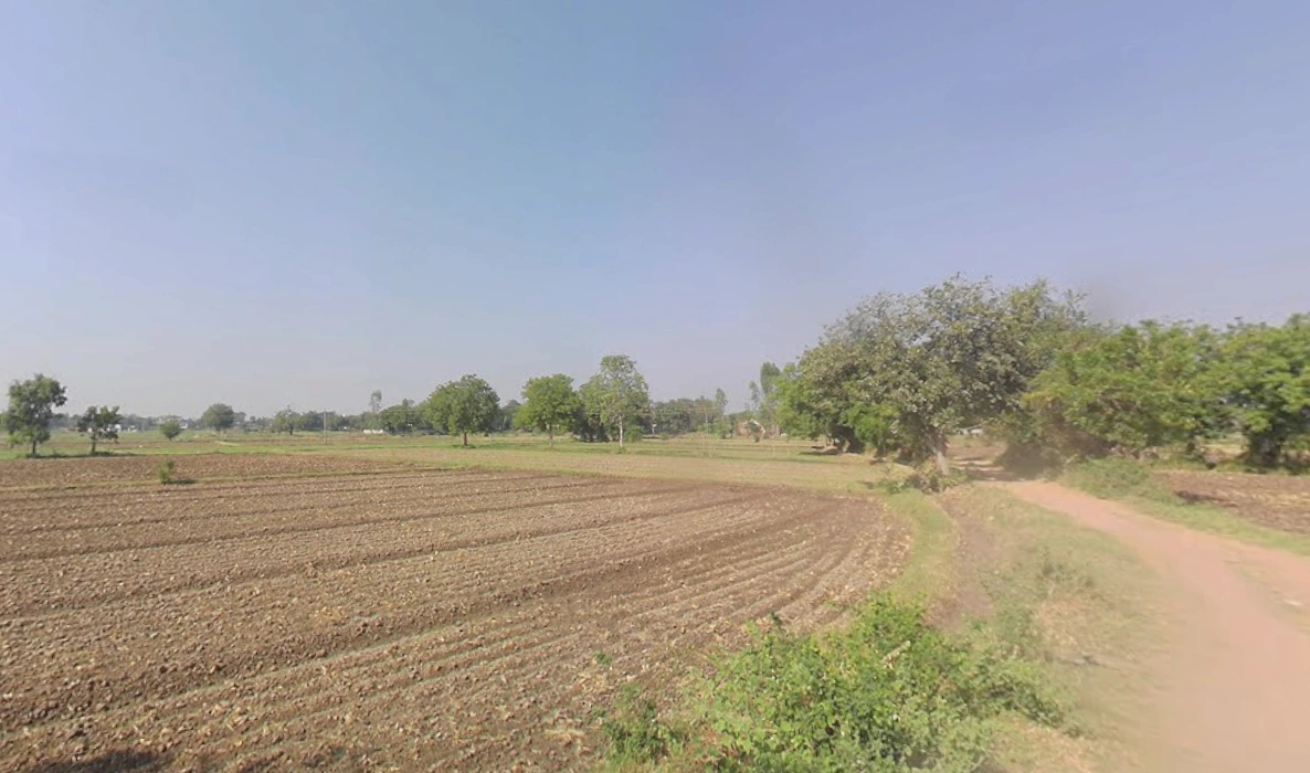 Jakhan, Gujarat 363421, India