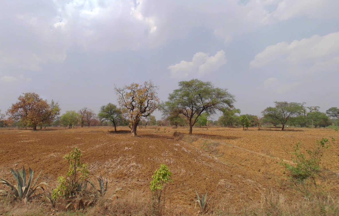 Morni Hills, Haryana, India