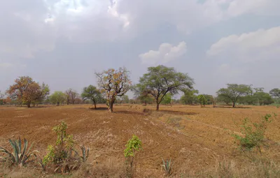 Morni Hills, Haryana, India preview 2