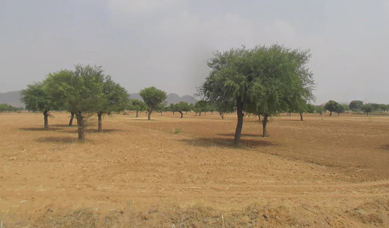 Morni Hills, Haryana, India