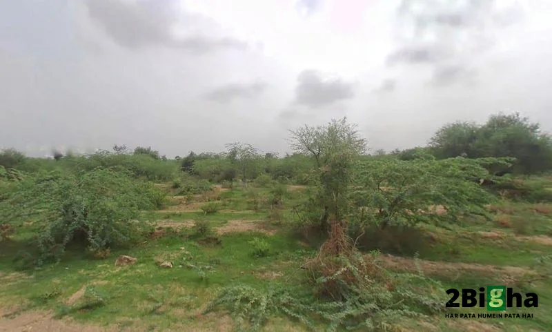 Posalia, Rajasthan 307028, India preview 3