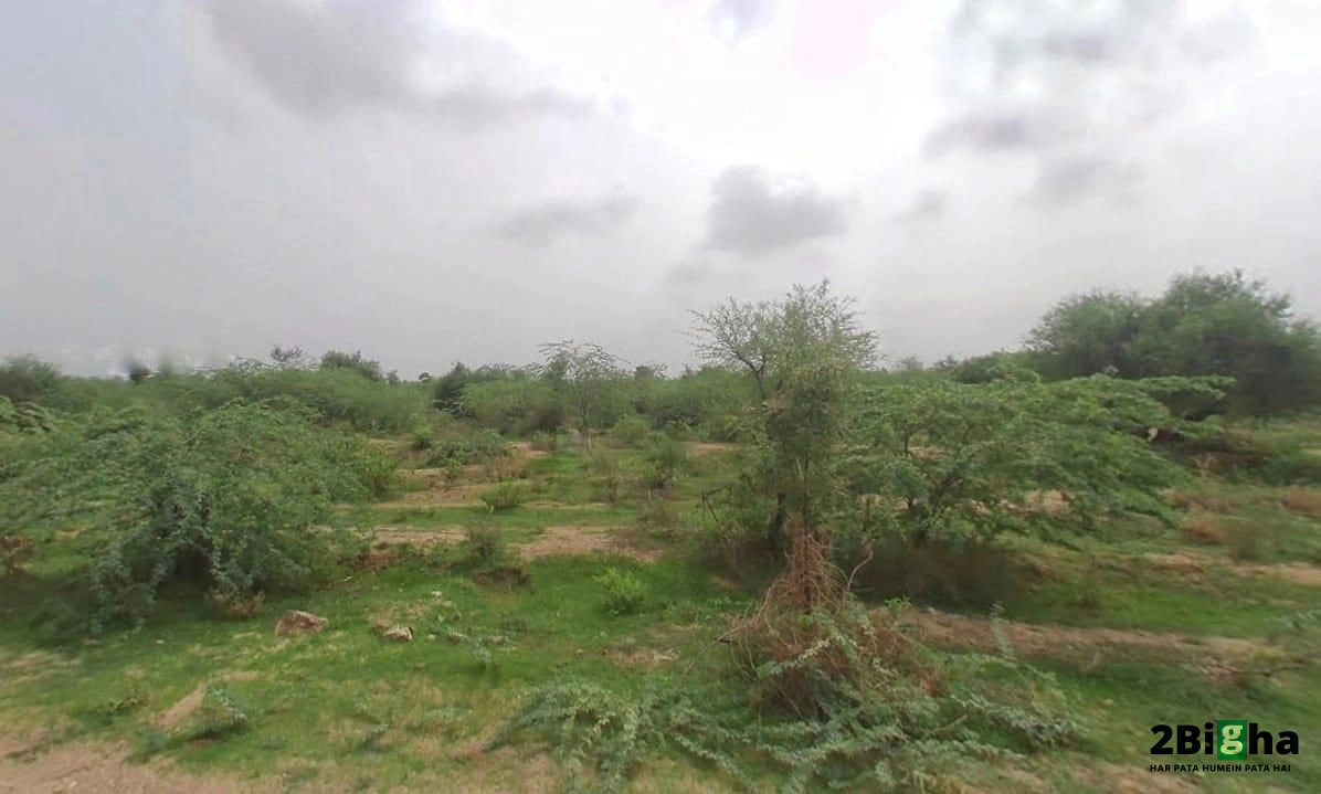 Posalia, Rajasthan 307028, India