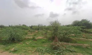 Posalia, Rajasthan 307028, India preview 3