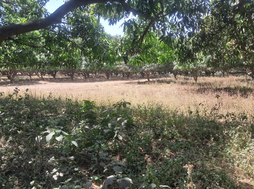 Barnagar, Madhya Pradesh 456771, India preview 3